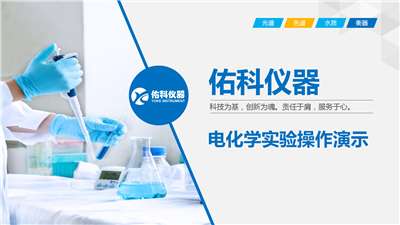 P917系列離子計